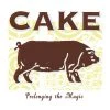 Capa de CAKE - NEVER THERE