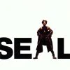 Capa de SEAL - THE BEGINNING